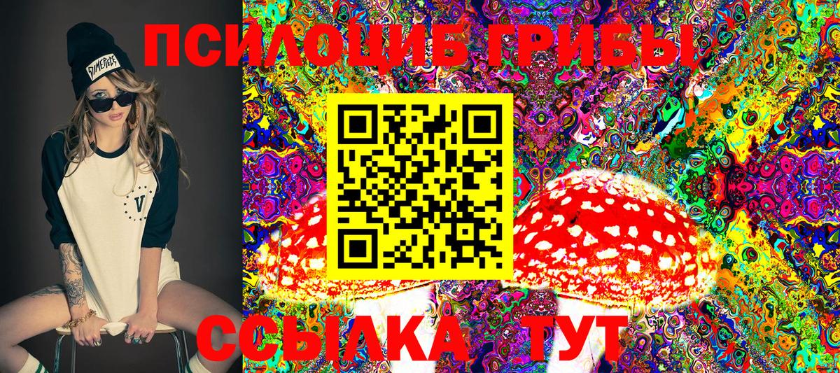 Топки  Псилоцибиновые грибы мицелий  Псилоцибиновые грибы Psilocybine cubensis  Вход с VPN 